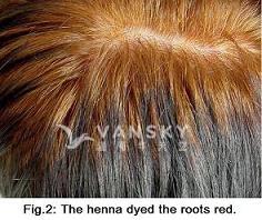 251113144435_Hair-Dying with henna-s.jpg